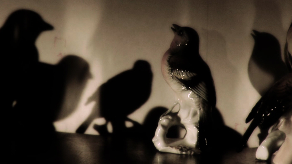 Singuliers/ Pluriels