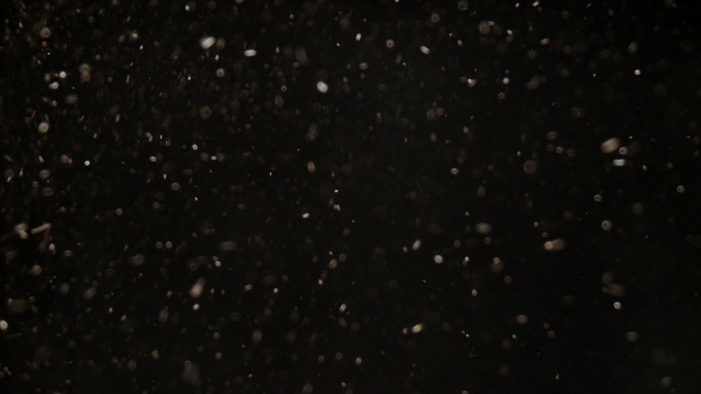 Morphosis (titre provisoire) – Chapitre&nbsp;2